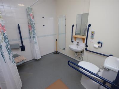 Picture 7